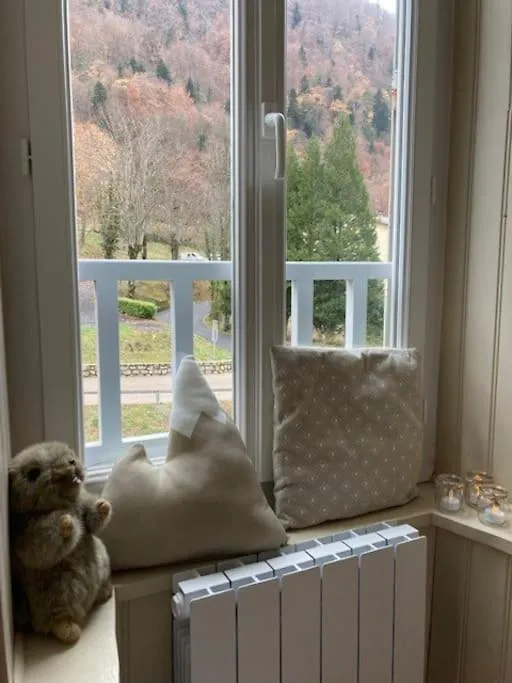Le 38 Authentique & Chaleureux Apartment Cauterets